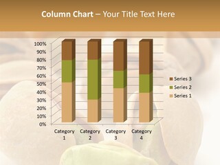 Vector Pistachio PowerPoint Template