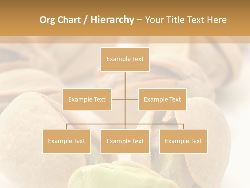 Vector Pistachio PowerPoint Template