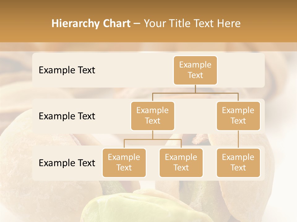 Vector Pistachio PowerPoint Template