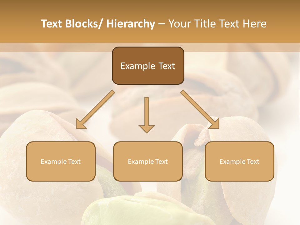 Vector Pistachio PowerPoint Template