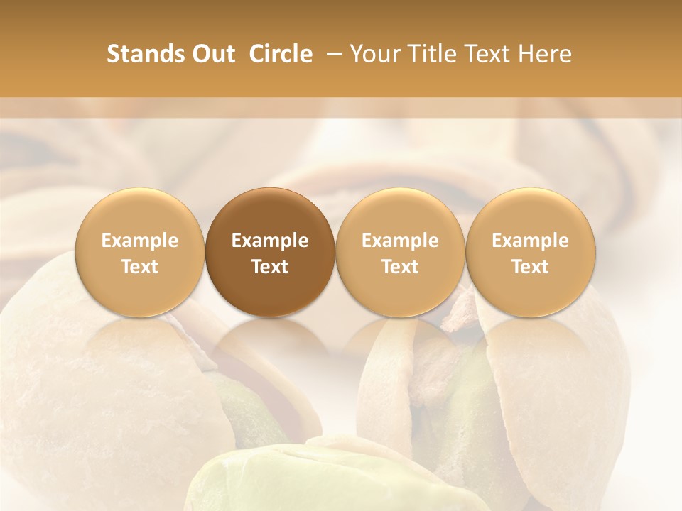 Vector Pistachio PowerPoint Template