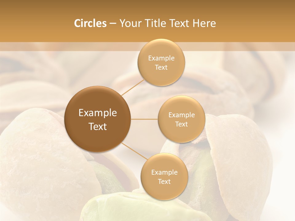 Vector Pistachio PowerPoint Template