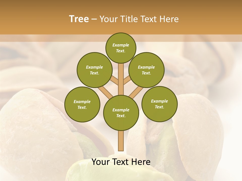 Vector Pistachio PowerPoint Template