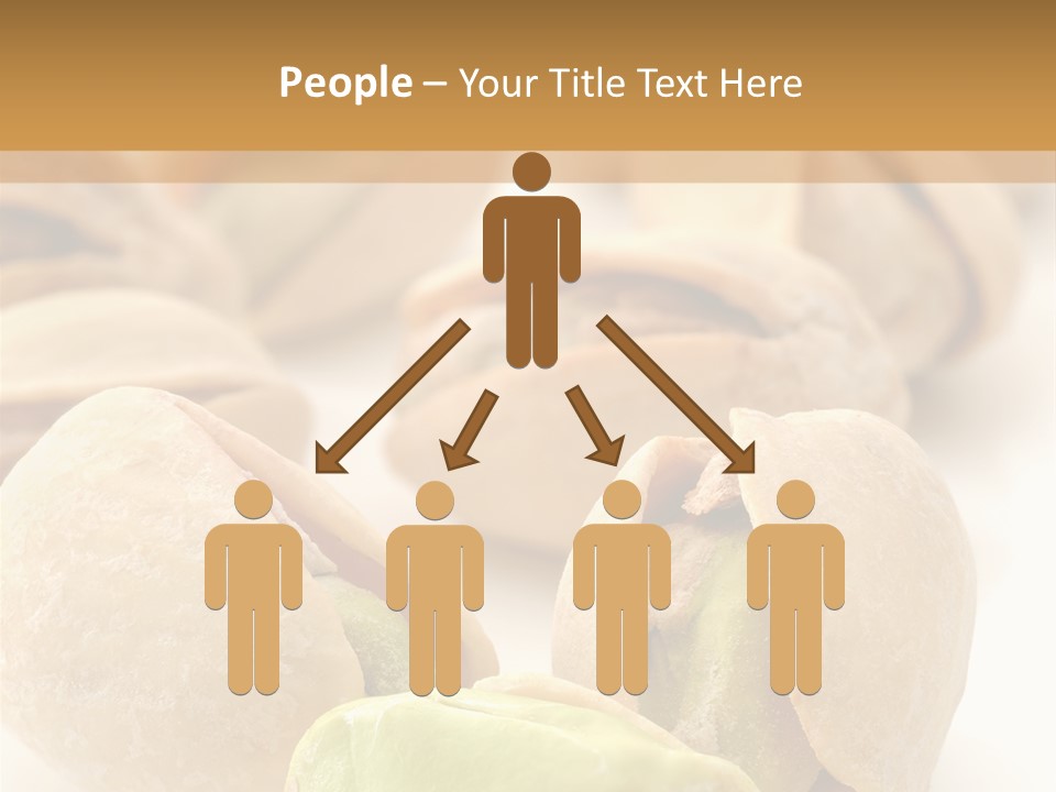 Vector Pistachio PowerPoint Template