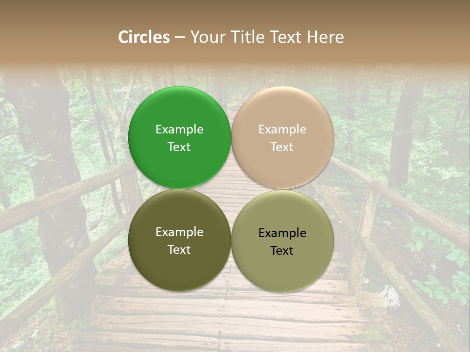 Forest Boardwalk PowerPoint Template