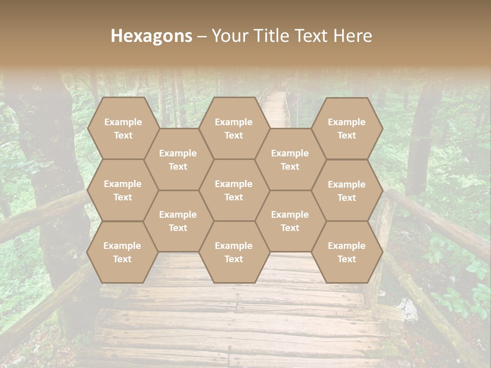 Forest Boardwalk PowerPoint Template