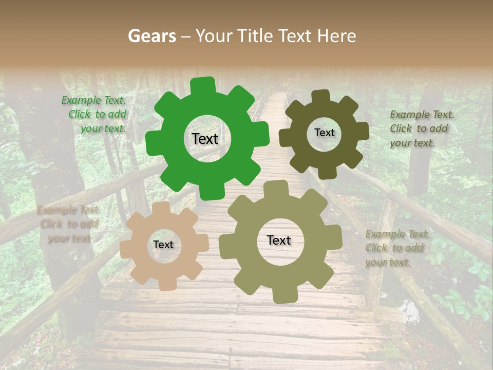 Forest Boardwalk PowerPoint Template