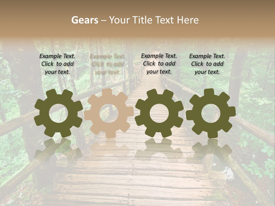 Forest Boardwalk PowerPoint Template