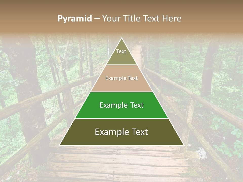 Forest Boardwalk PowerPoint Template