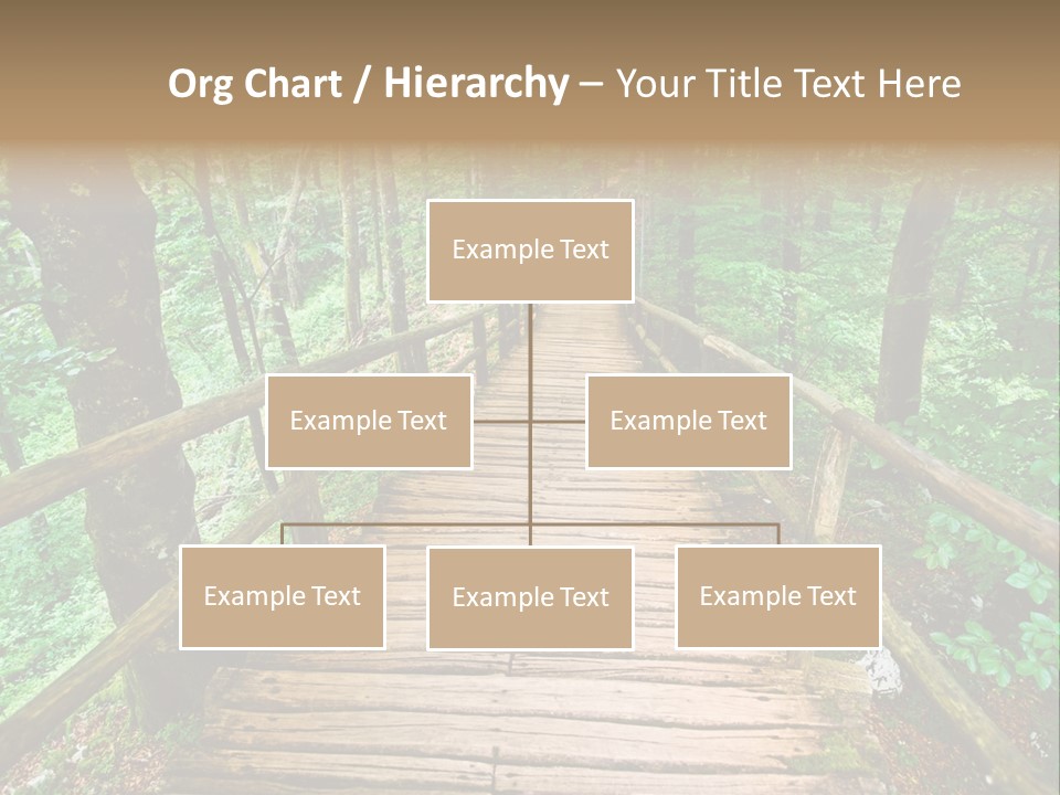 Forest Boardwalk PowerPoint Template