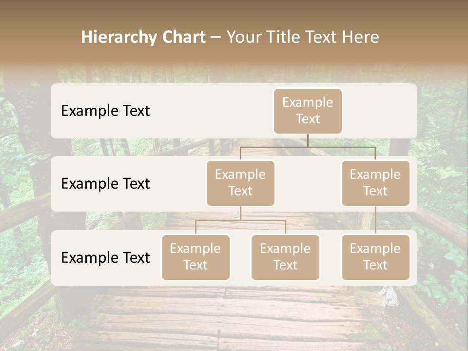 Forest Boardwalk PowerPoint Template