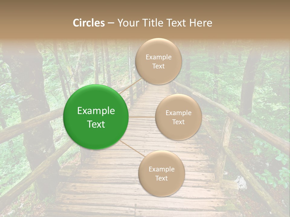 Forest Boardwalk PowerPoint Template