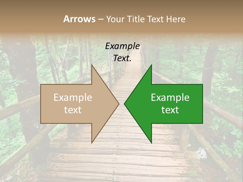 Forest Boardwalk PowerPoint Template