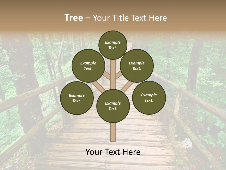 Forest Boardwalk PowerPoint Template
