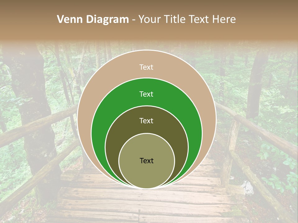 Forest Boardwalk PowerPoint Template