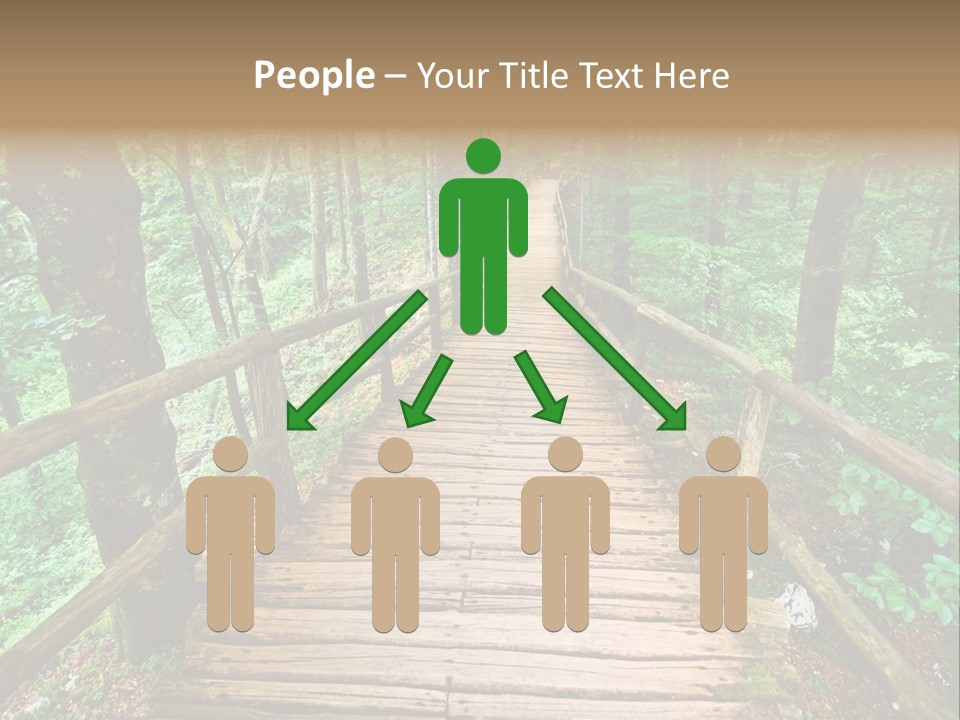Forest Boardwalk PowerPoint Template
