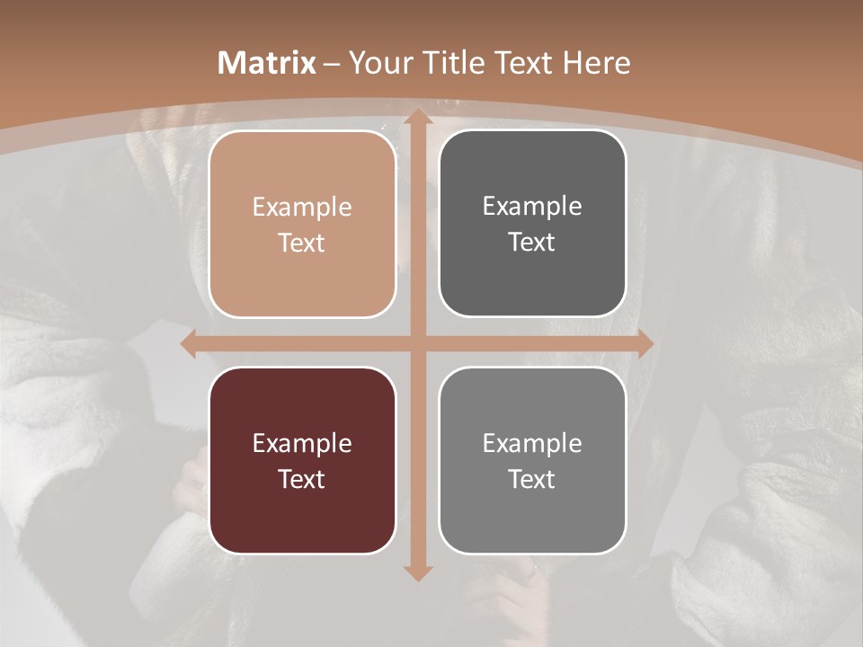 Cool Short Skin PowerPoint Template