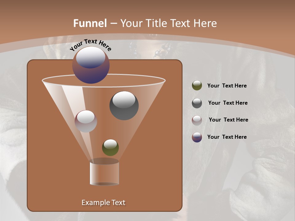Cool Short Skin PowerPoint Template