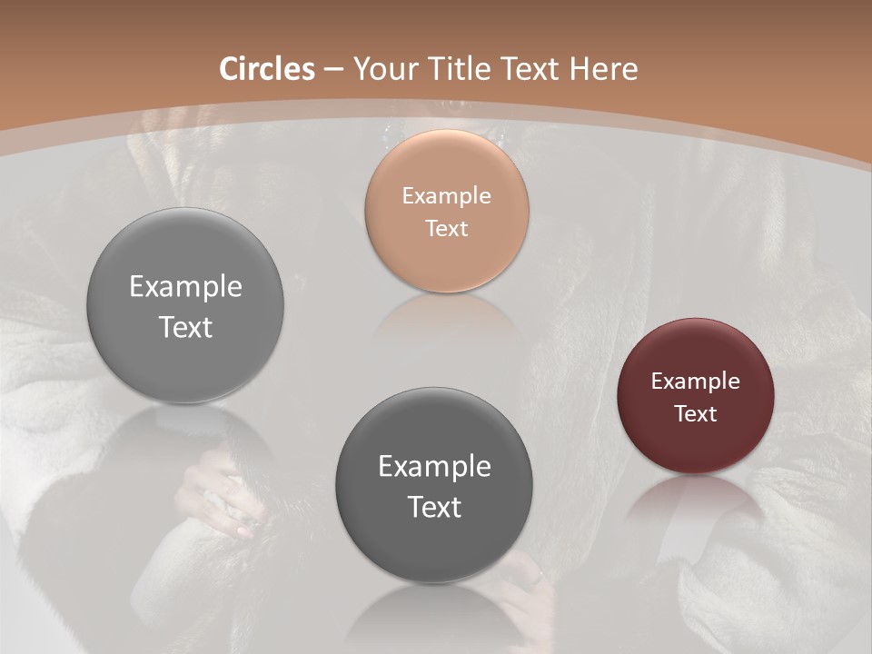 Cool Short Skin PowerPoint Template
