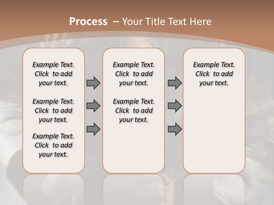 Cool Short Skin PowerPoint Template