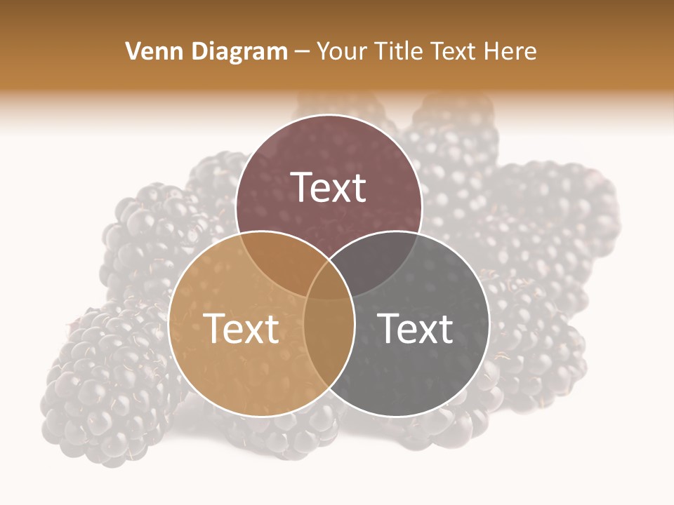 Closeup Dessert Isolated PowerPoint Template