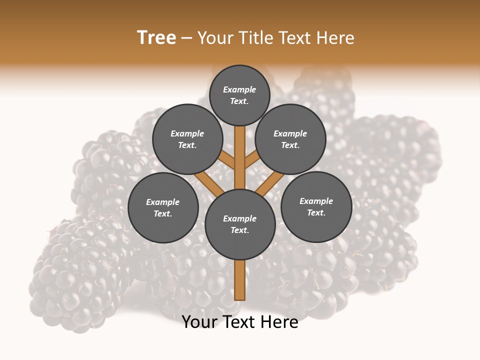 Closeup Dessert Isolated PowerPoint Template