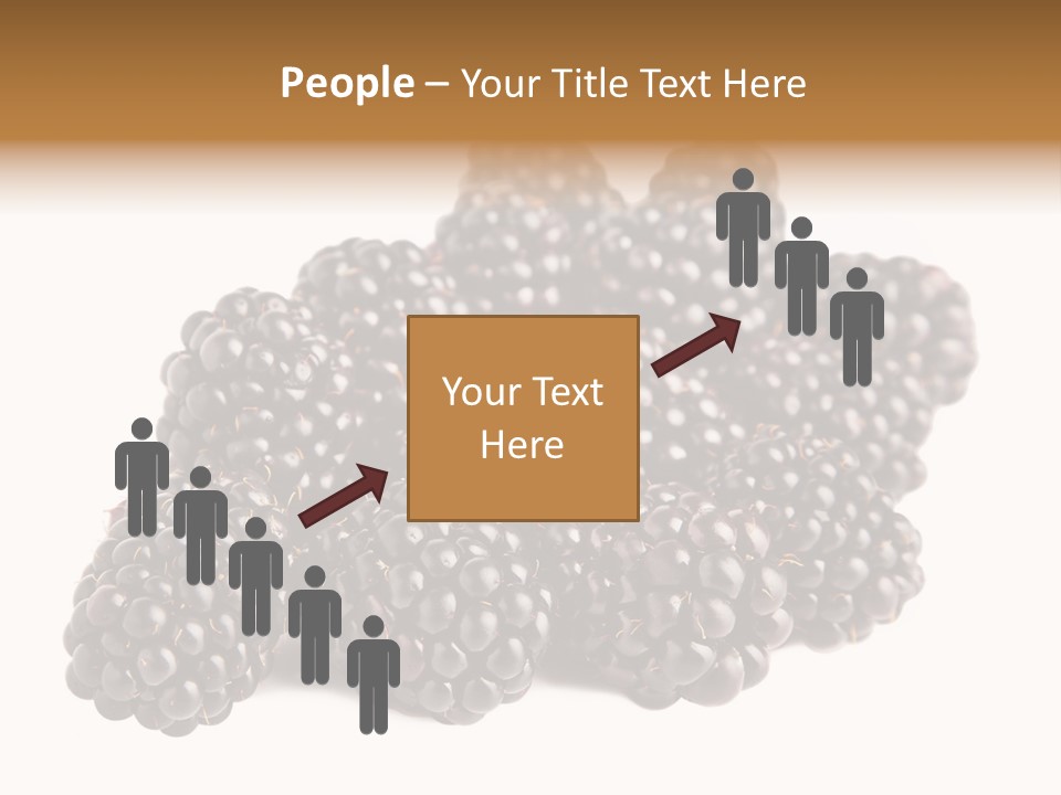 Closeup Dessert Isolated PowerPoint Template