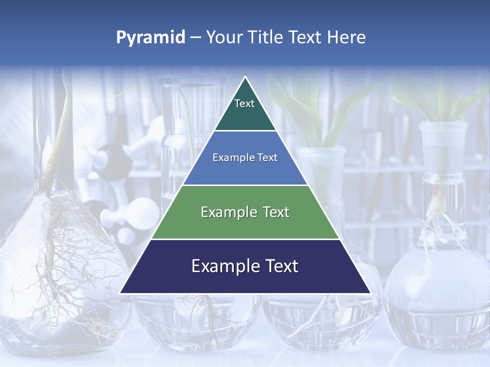 Biology PowerPoint Template