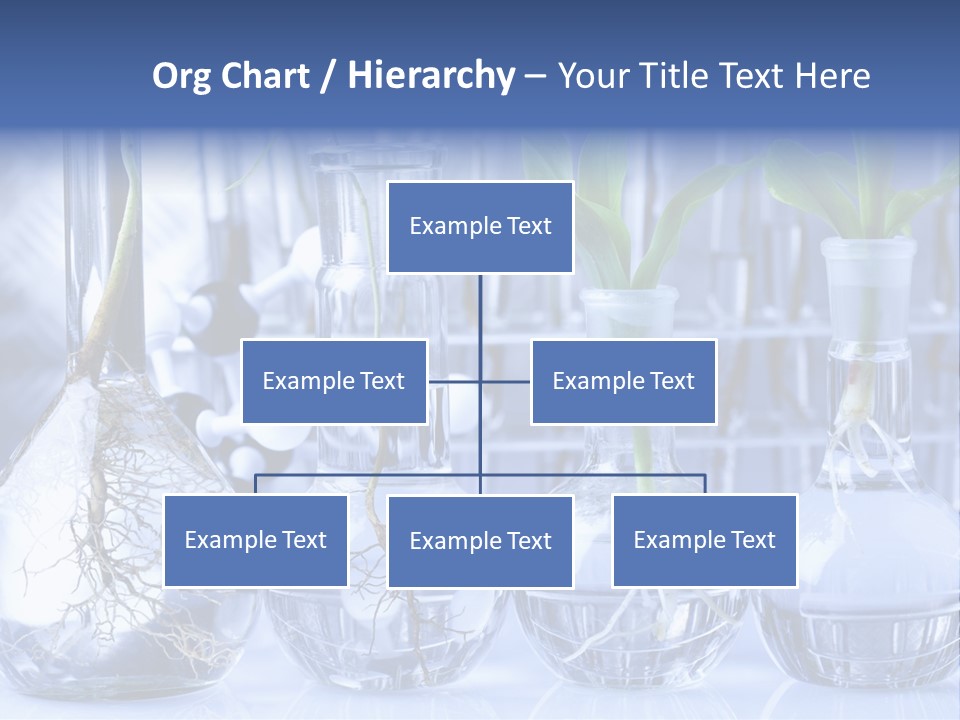 Biology PowerPoint Template