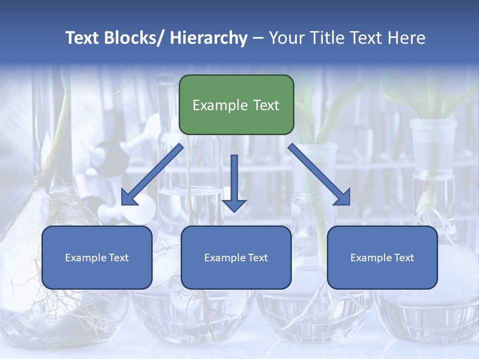 Biology PowerPoint Template