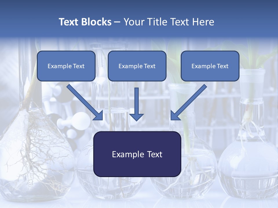 Biology PowerPoint Template