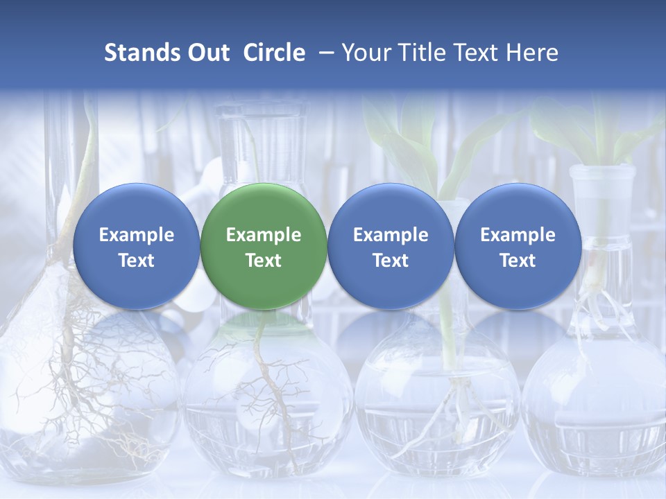 Biology PowerPoint Template