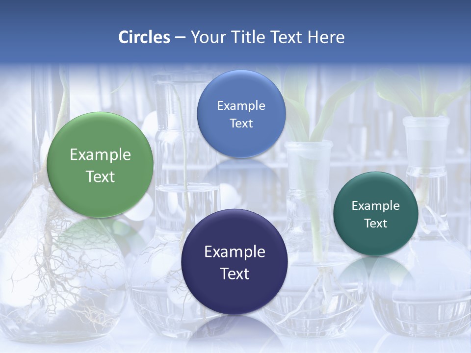 Biology PowerPoint Template