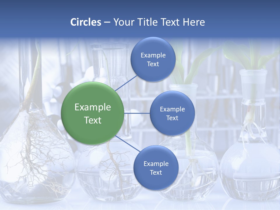 Biology PowerPoint Template