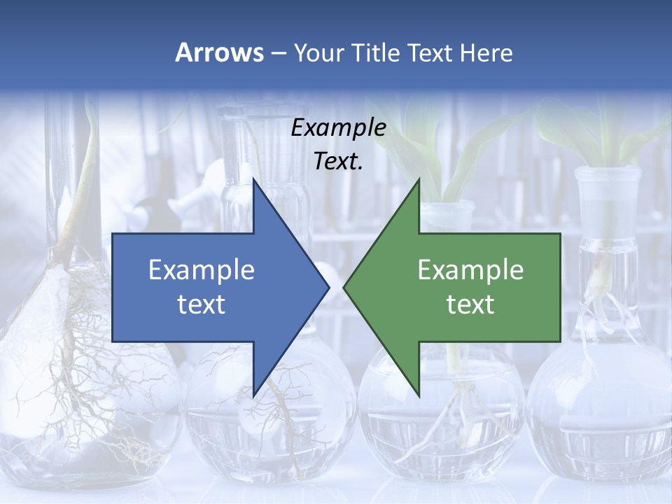 Biology PowerPoint Template