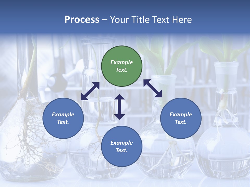 Biology PowerPoint Template