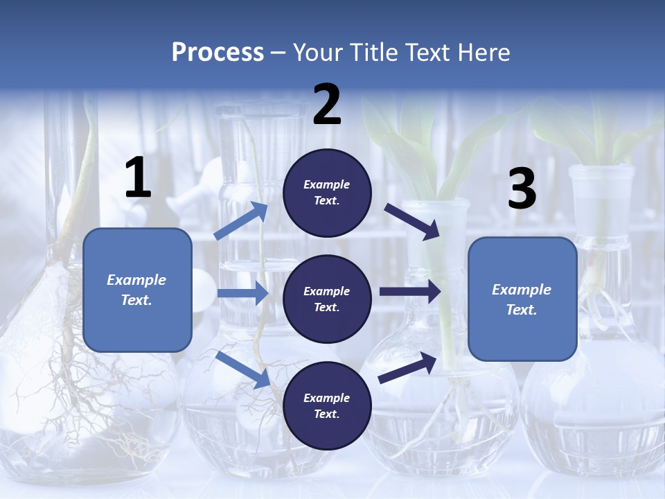 Biology PowerPoint Template