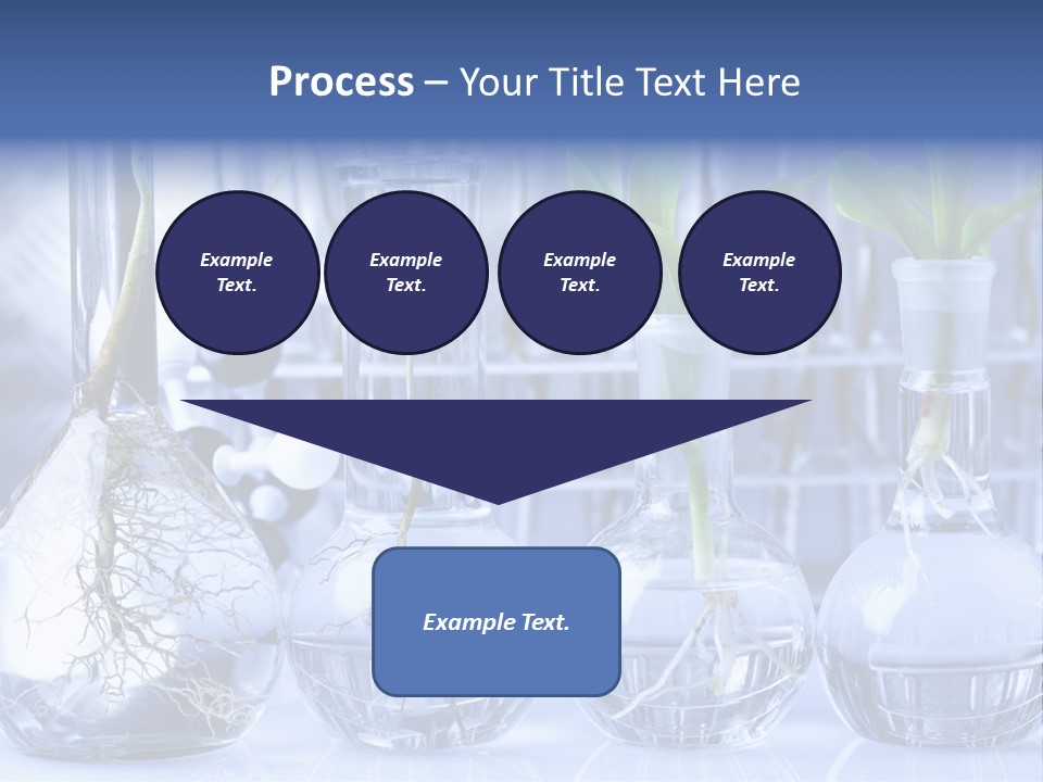 Biology PowerPoint Template