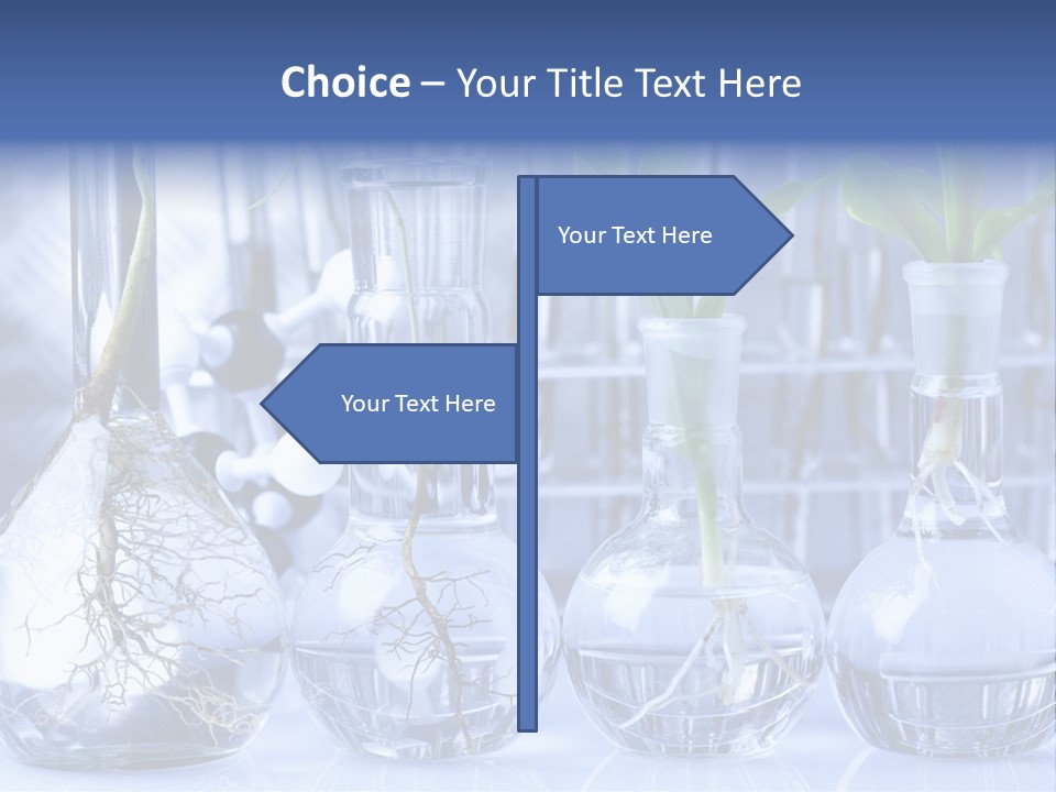 Biology PowerPoint Template