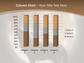 Wolf Howling At Moon PowerPoint Template