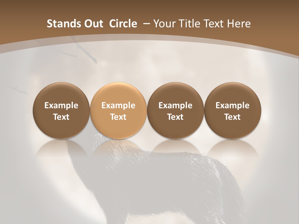 Wolf Howling At Moon PowerPoint Template