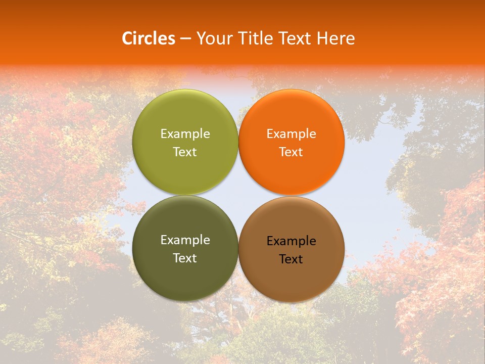 Forests Clipart PowerPoint Template