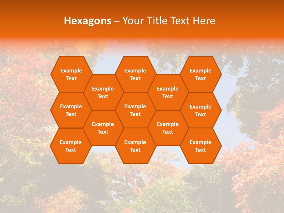 Forests Clipart PowerPoint Template