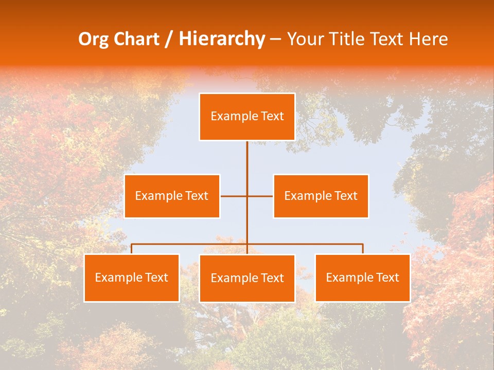 Forests Clipart PowerPoint Template