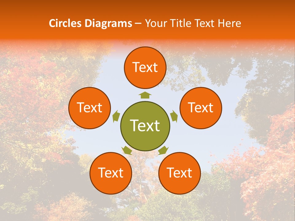 Forests Clipart PowerPoint Template