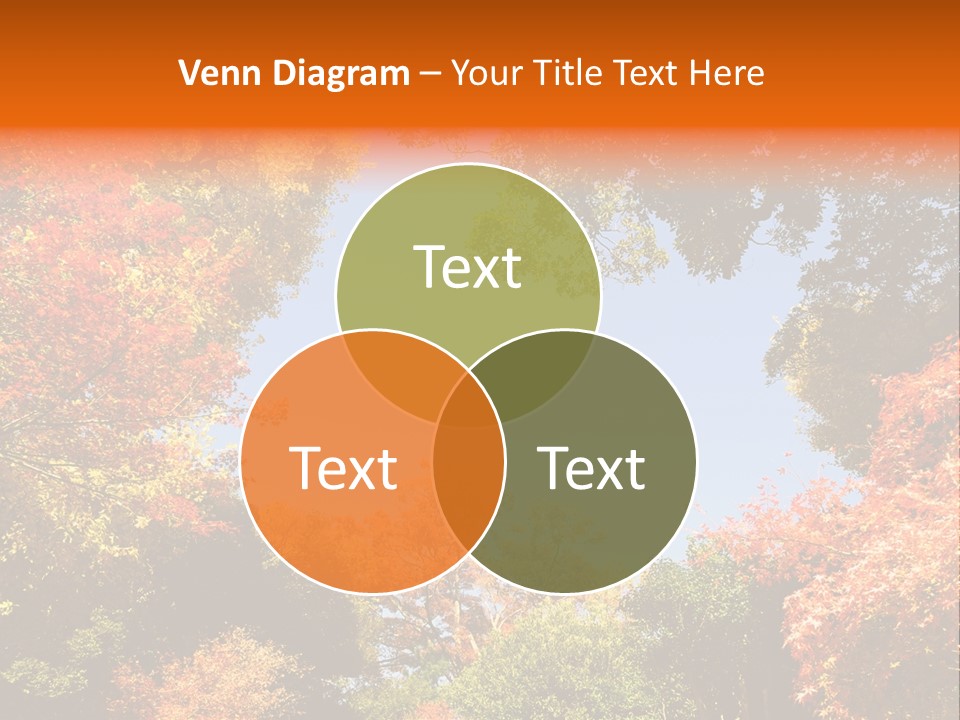 Forests Clipart PowerPoint Template