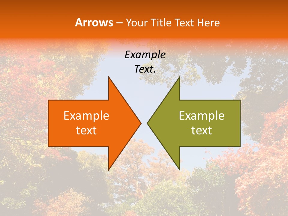 Forests Clipart PowerPoint Template