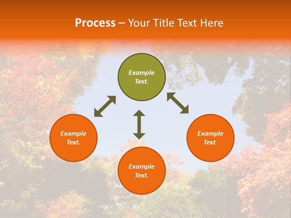 Forests Clipart PowerPoint Template