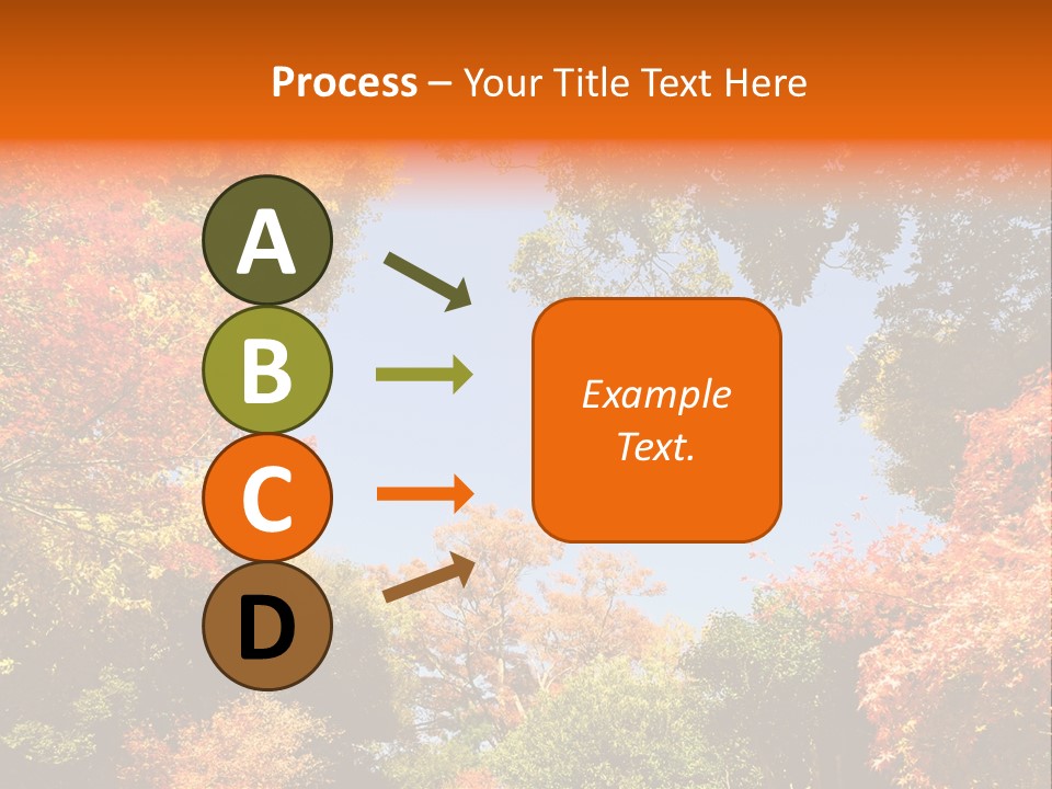 Forests Clipart PowerPoint Template