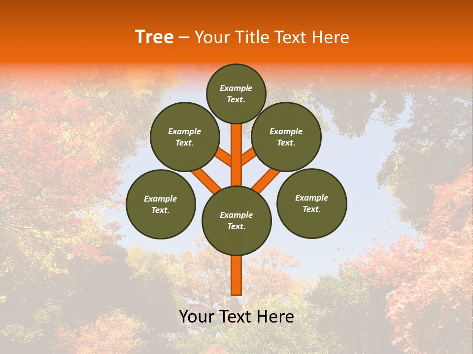 Forests Clipart PowerPoint Template